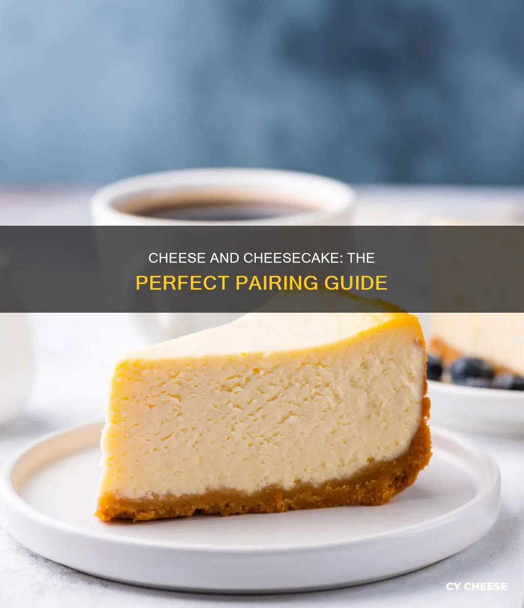 what cheese goes in cheesecake