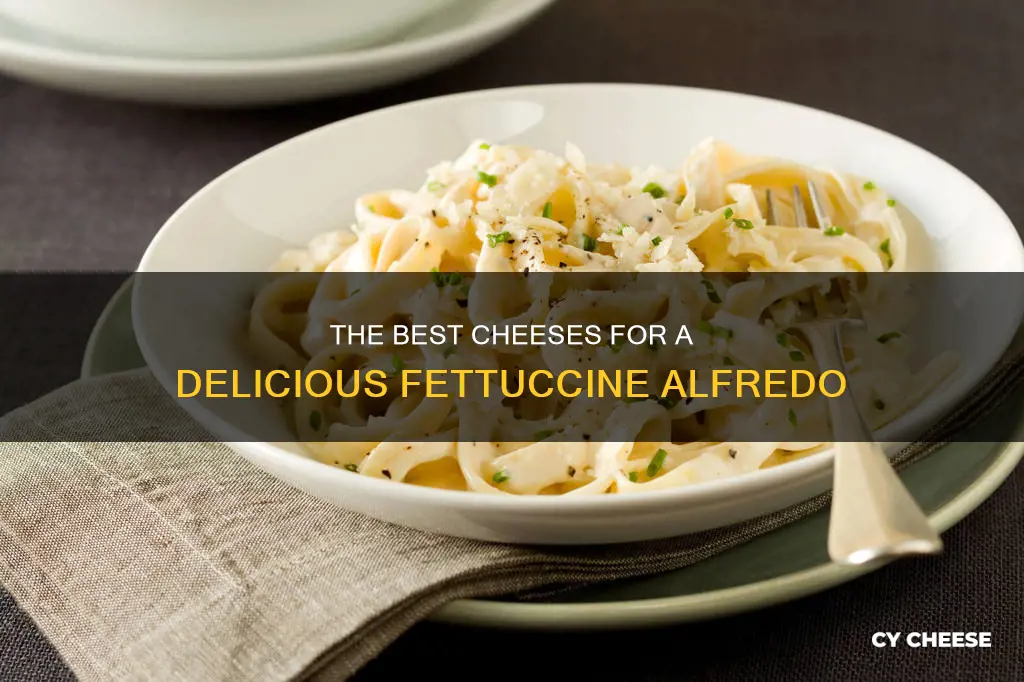 what cheese goes in fettuccine alfredo