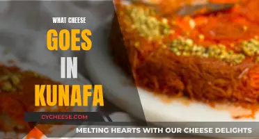 Kunafa's Cheesy Affair: Picking the Perfect Cheese