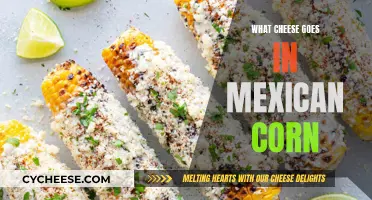 Cheese and Mexican Corn: The Perfect Pairing