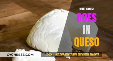 Best Cheeses for Queso: Melting and Flavor Secrets