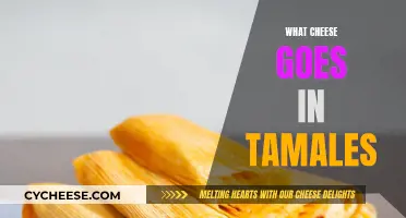 Best Cheeses for Tamales: A Tasty Guide