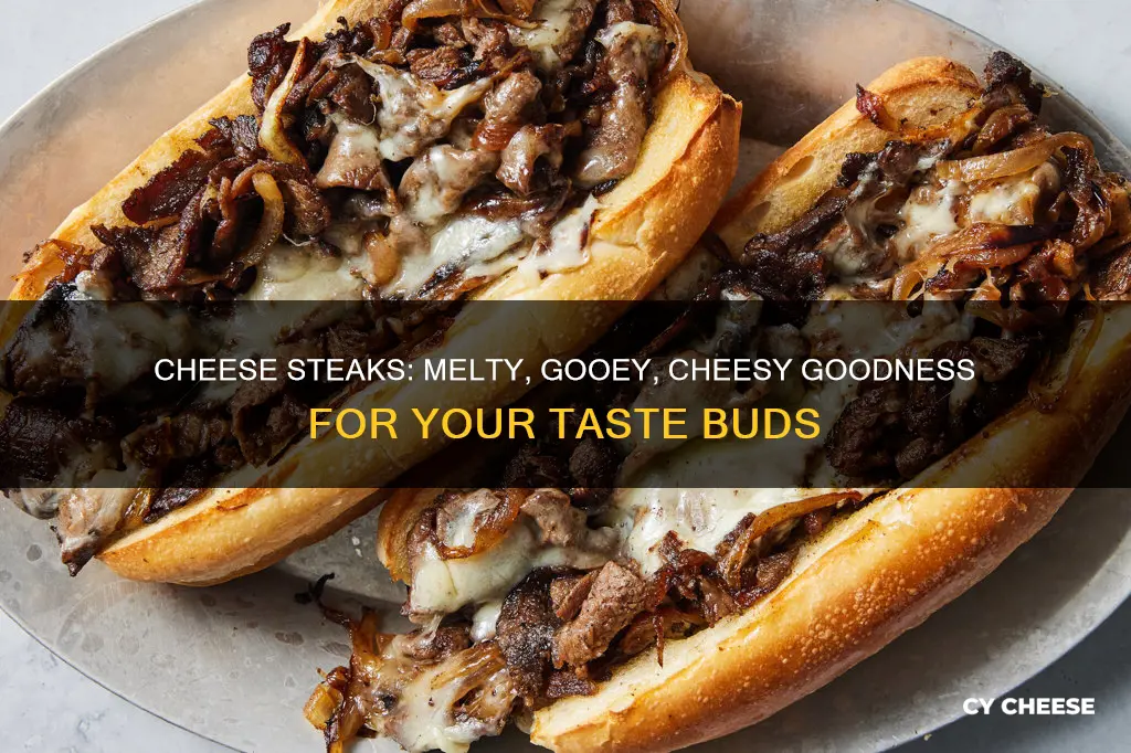 what cheese goes on a cheese steak