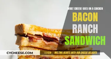 Best Cheeses for Chicken Bacon Ranch Sandwiches