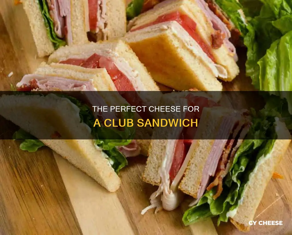 what cheese goes on a club sandwich