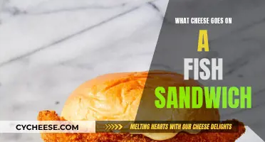 Cheese and Fish: Perfect Pairing for a Sandwich