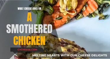 Cheese and Chicken: Perfect Partners for a Delicious Dish