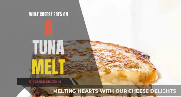 Tasty Tuna Melts: Choosing the Perfect Cheesy Combo