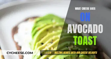 Avocado Toast: Best Cheeses for a Tasty Bite