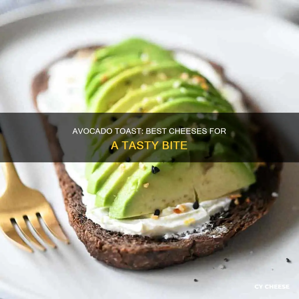 what cheese goes on avocado toast