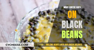 Black Beans and Cheese: Perfect Pairing Ideas