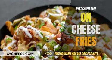 Cheese Fries: Melty Topping Ideas for a Cheesy Delight