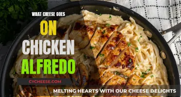 The Best Cheeses for Chicken Alfredo: A Guide