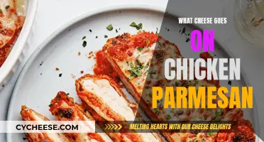 Chicken Parmesan: Choosing the Perfect Cheesy Topping