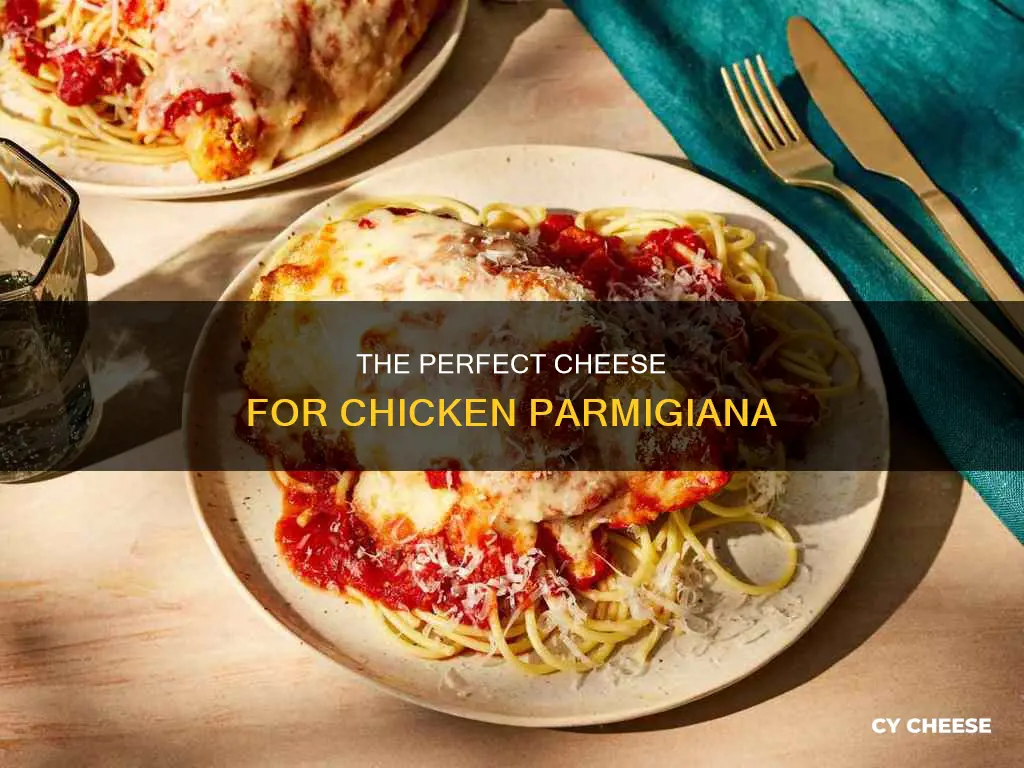 what cheese goes on chicken parmigiana