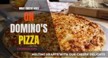 Domino's Pizza: The Perfect Cheese Combination