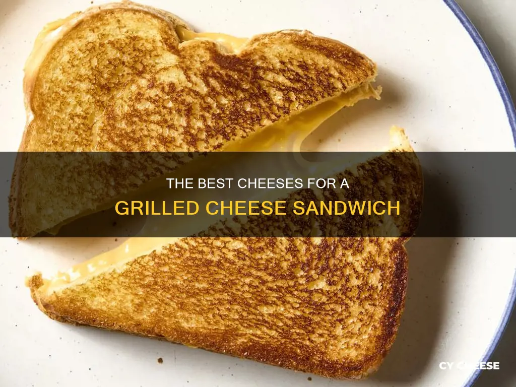 what cheese goes on grilled cheese