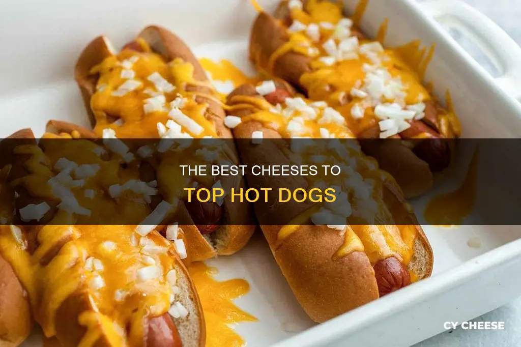 what cheese goes on hot dogs