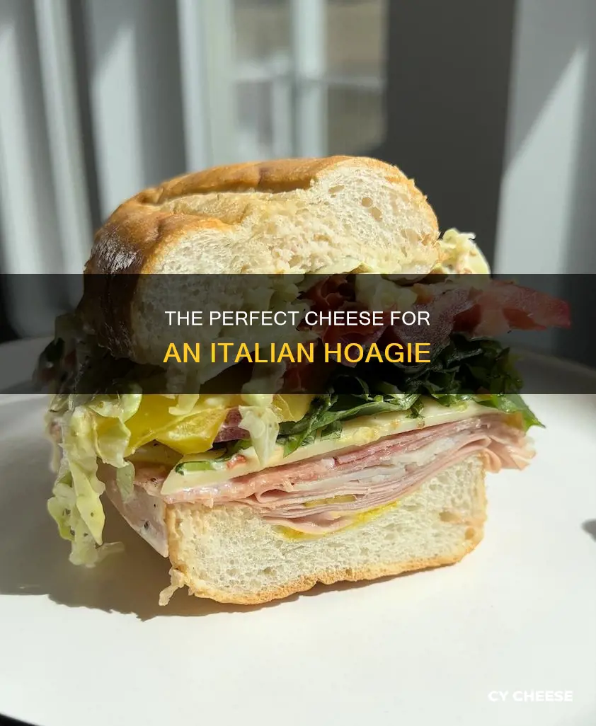 what cheese goes on italian hoagie