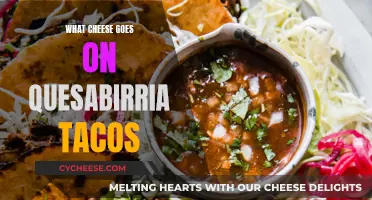 Cheese and Meat: The Perfect Quesabirria Taco Combination