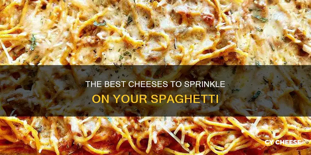 what cheese goes on spaghetti