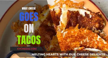 Cheese and Tacos: The Perfect Pairing