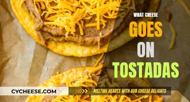 Cheese and Tostadas: The Perfect Melty Combination