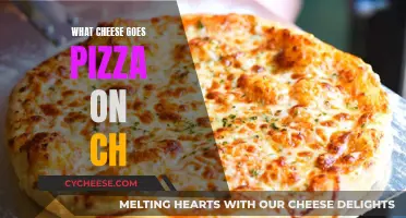 Cheese and Pizza: Perfect Melty Combinations