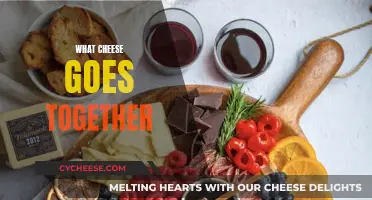 Cheese Pairing: Finding the Perfect Match