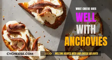 Cheese and Anchovies: The Perfect Pairing