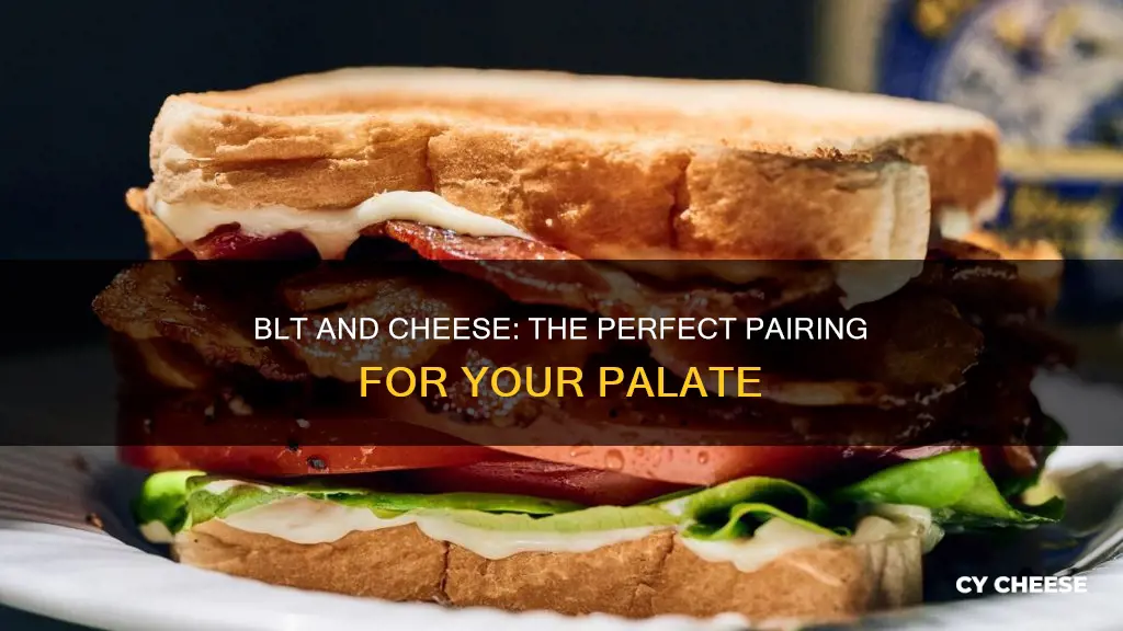 what cheese goes well with blt