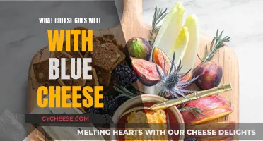 Blue Cheese's Perfect Pairings: Cheesy Companions for a Tangy Treat