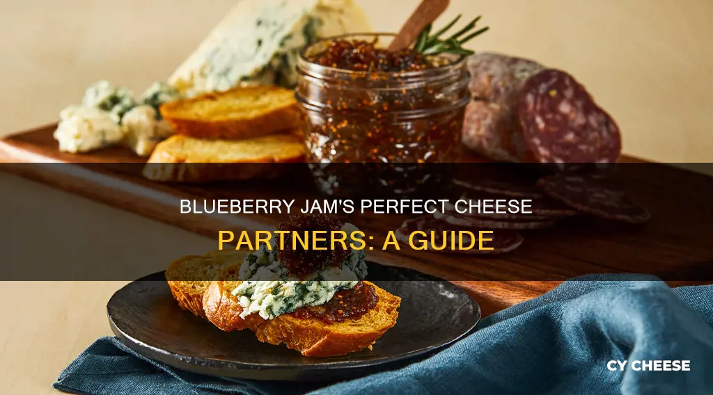 what cheese goes well with blueberry jam