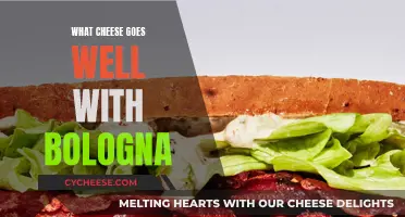 The Perfect Cheese Pairings for Bologna Meat