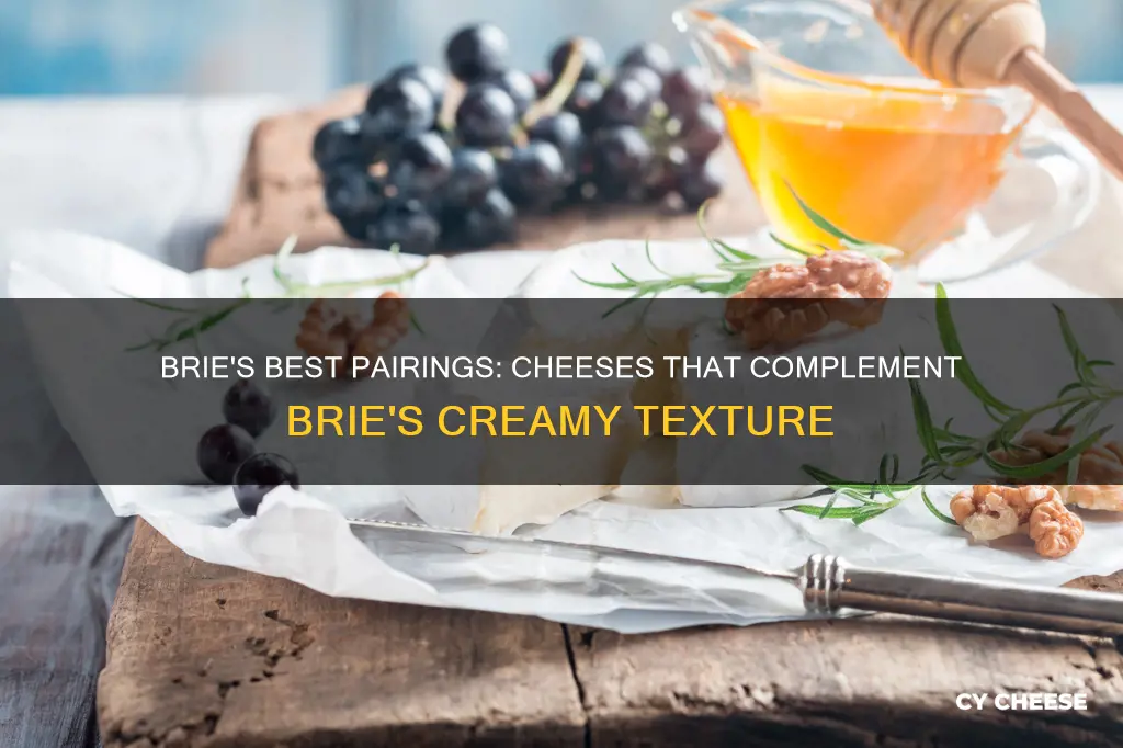 what cheese goes well with brie