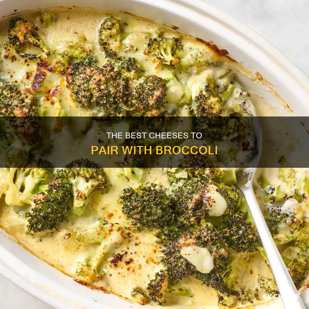 what cheese goes well with broccoli