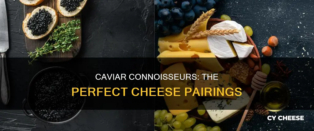 what cheese goes well with caviar