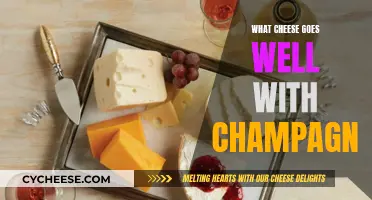 Champagne and Cheese: Perfect Pairing Guide