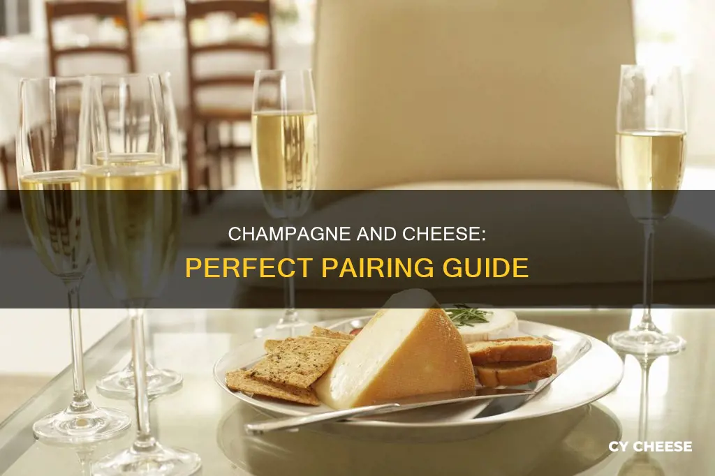 what cheese goes well with champagne