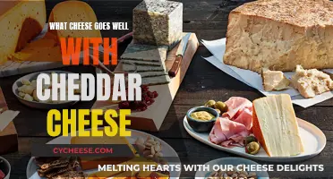 The Perfect Pairing Partners for Cheddar Cheese