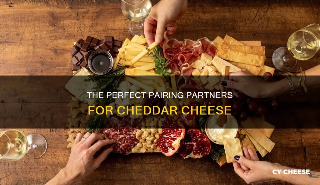 what cheese goes well with cheddar cheese