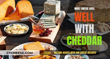 The Perfect Pairing Partners for Cheddar Cheese