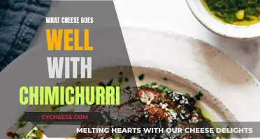 The Perfect Cheese Pairings for Chimichurri Sauce