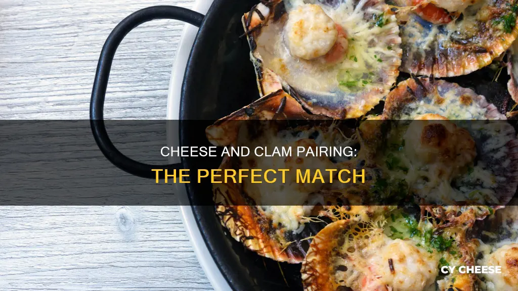 what cheese goes well with clams