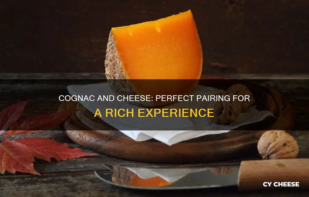 what cheese goes well with cognac