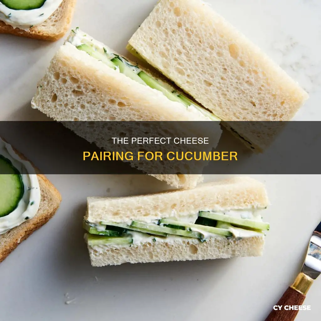 what cheese goes well with cucumber