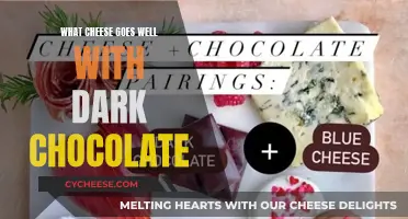 The Perfect Dark Chocolate and Cheese Pairing Experience