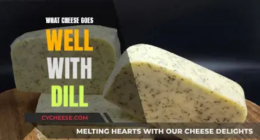 Cheese and Dill: Perfect Pairing for a Fresh Flavor