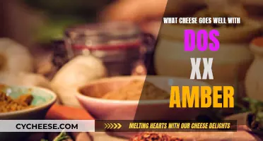 Dos XX Amber: The Perfect Cheese Pairing Experience