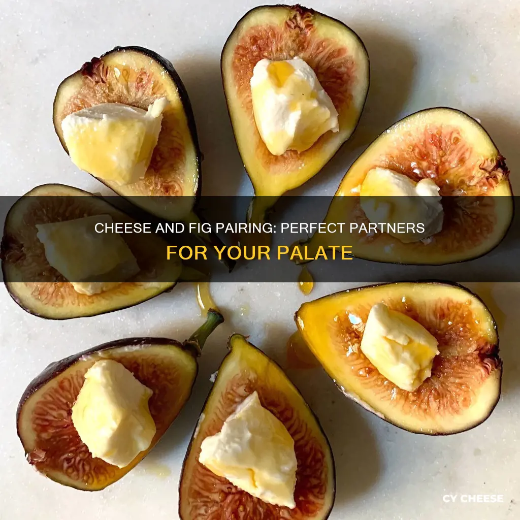 what cheese goes well with figs